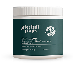 Gleefull Pups image