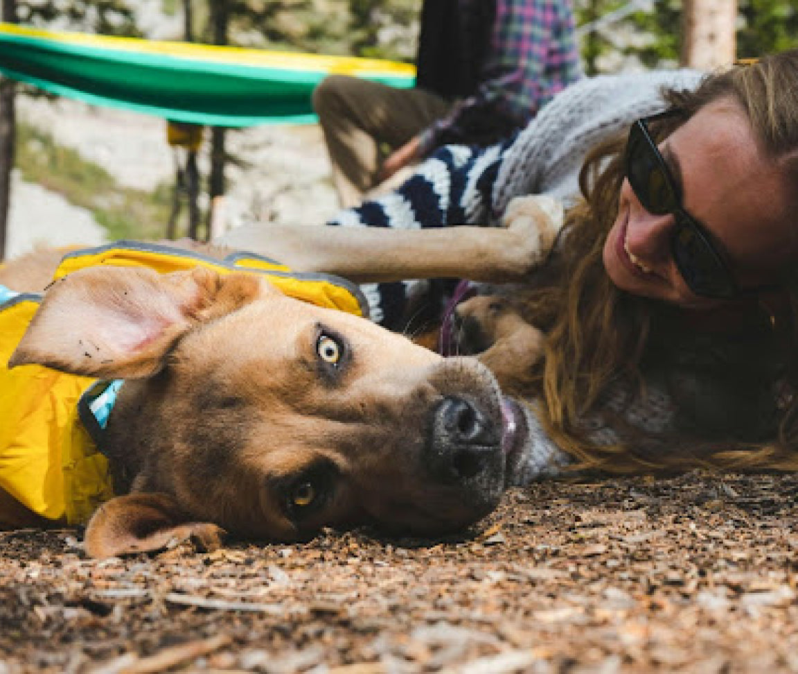 Gleefull Pups image