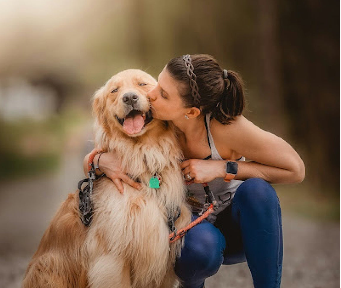 Gleefull Pups image