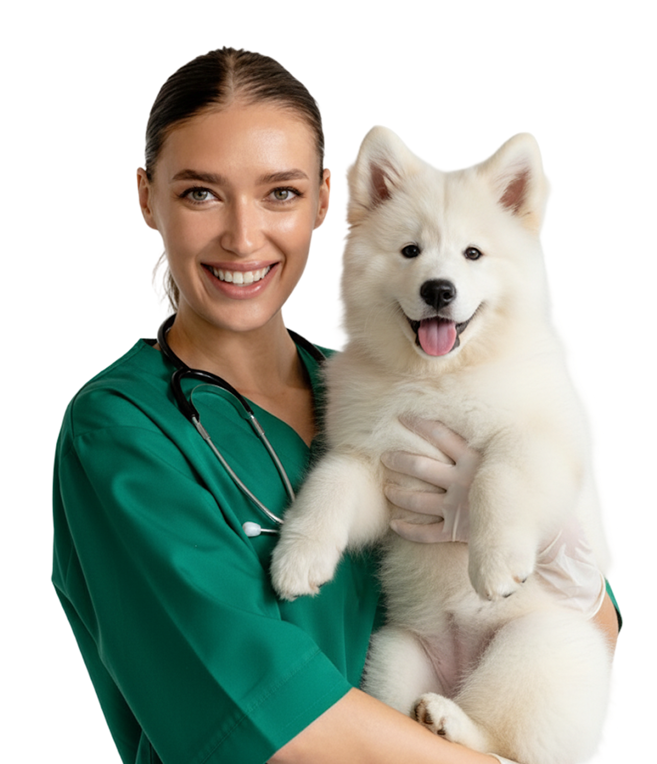 Gleefull Pups image