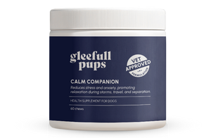 Calm Companion