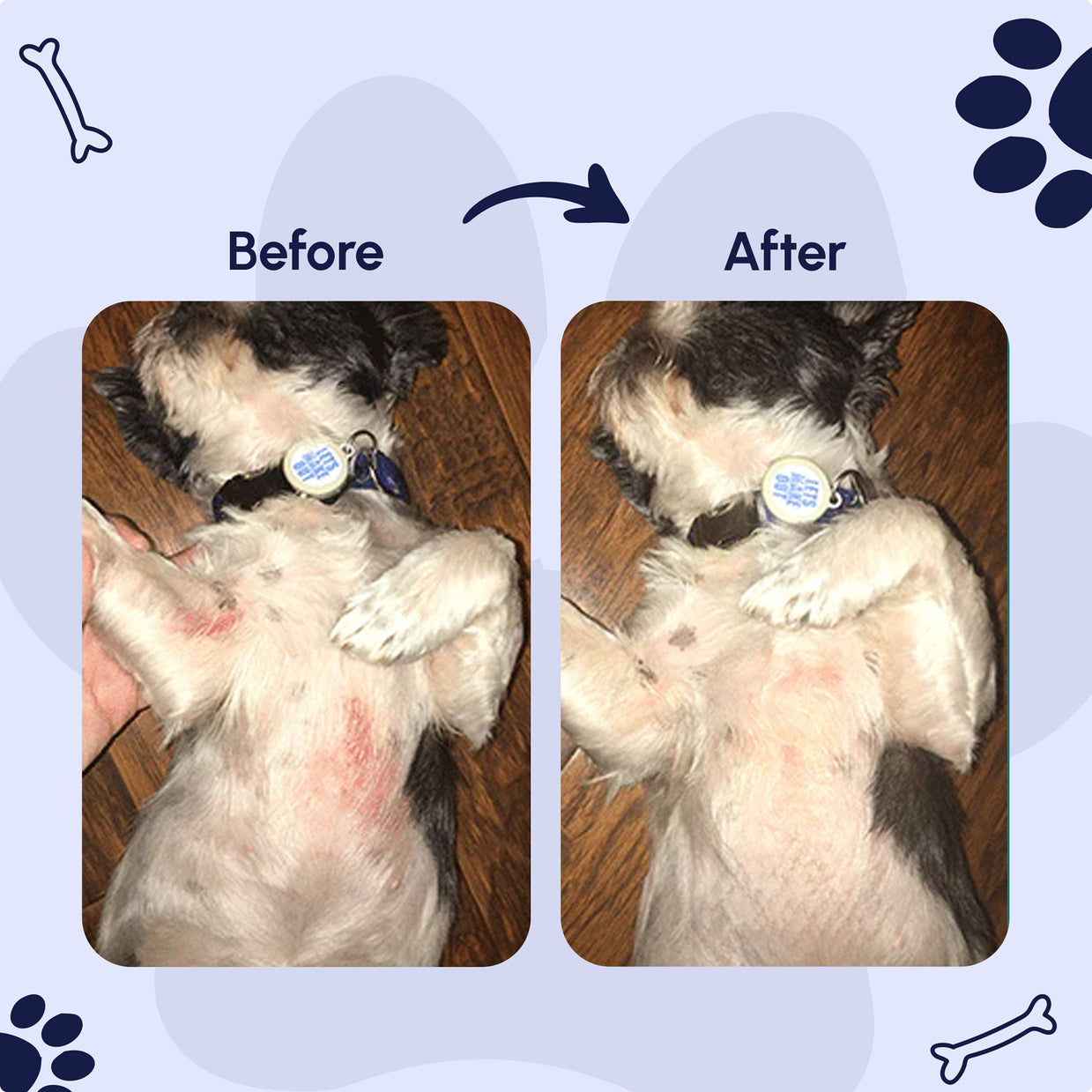 Gleefull Pups image