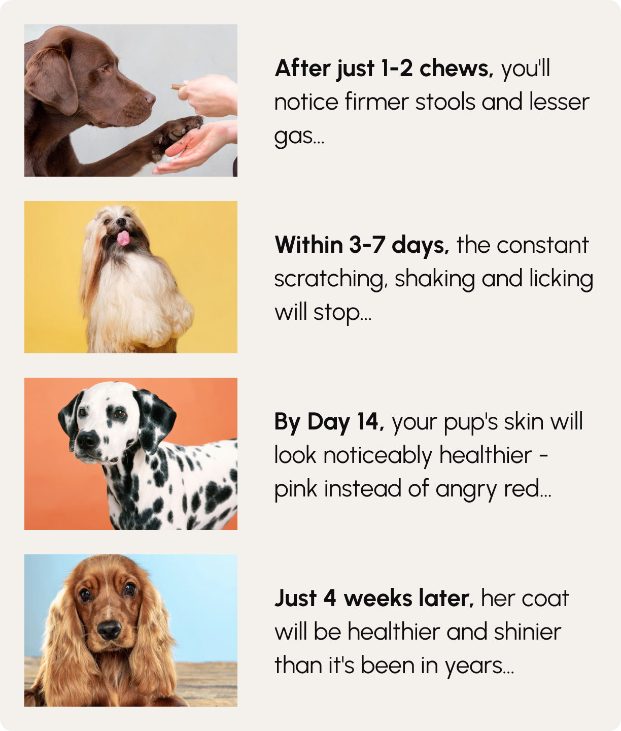 Gleefull Pups image