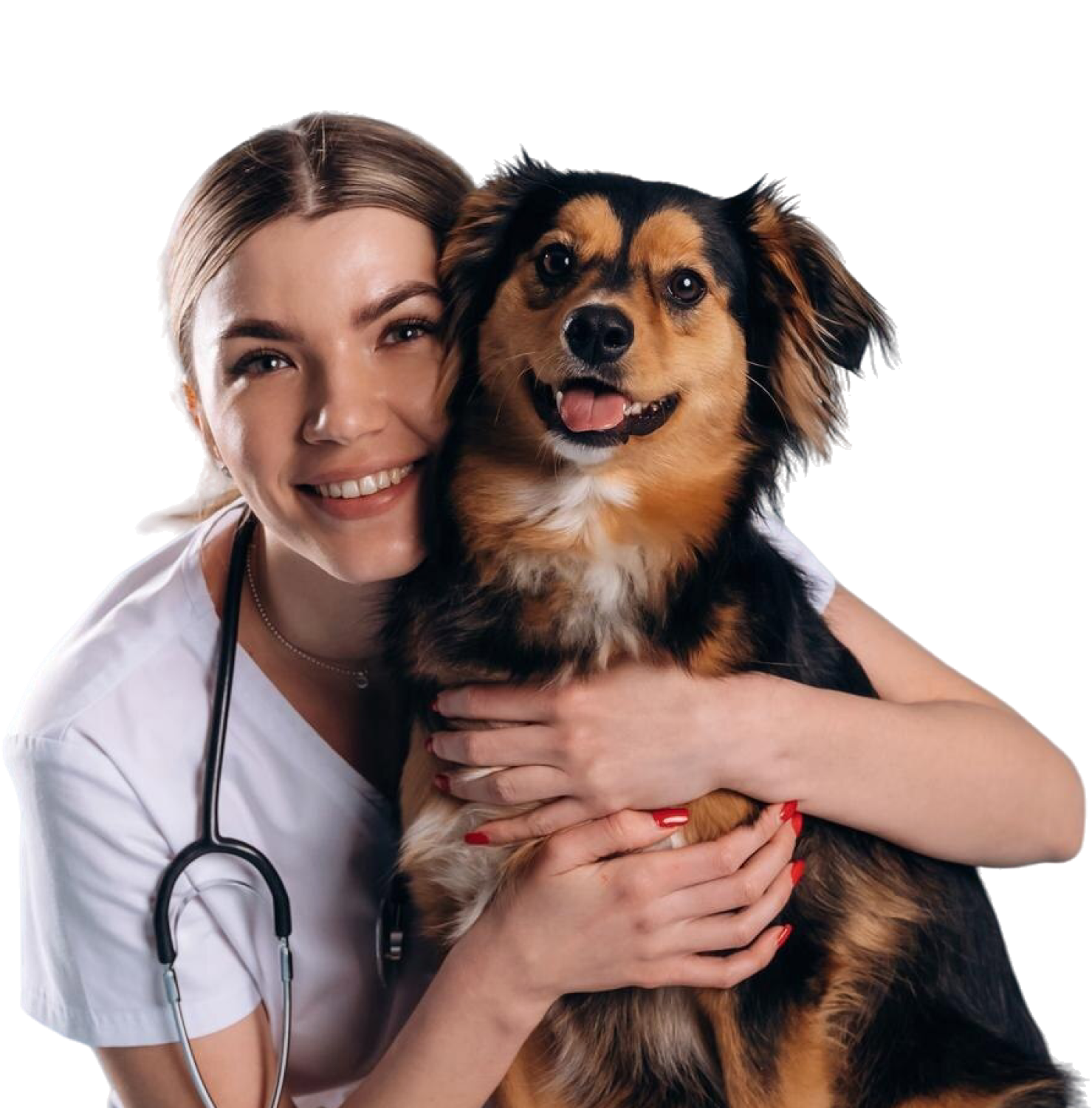 Gleefull Pups image