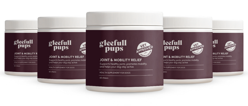 Joint & Mobility Relief