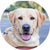 Gleefull Pups image