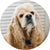 Gleefull Pups image