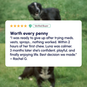 Gleefull Pups image