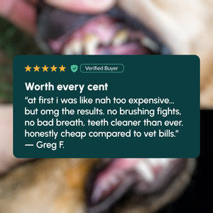 Gleefull Pups image
