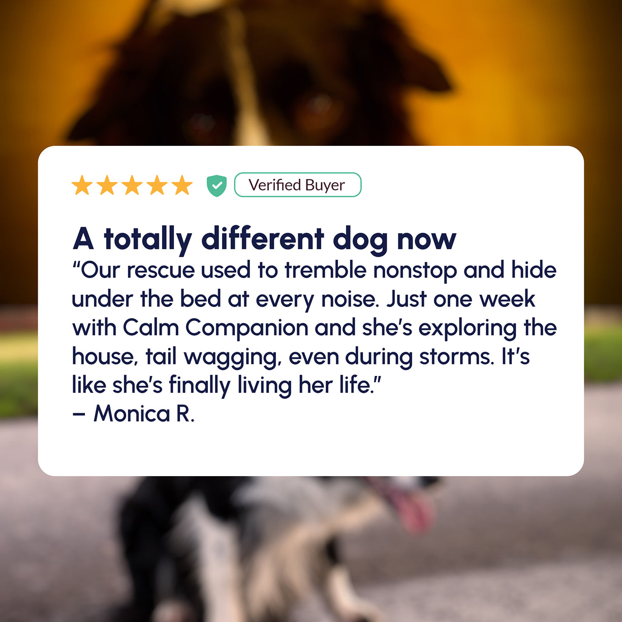 Gleefull Pups image