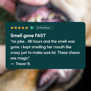 Gleefull Pups image